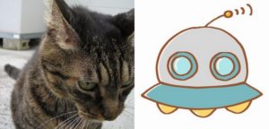 7月4日（木）、6日（土）UFO 対策フォローアップ　