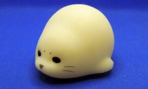 10月24日（木）、26日（土）レッスン　